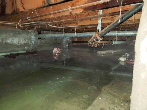 Bloomingburg, OH Water damage restoration Company
