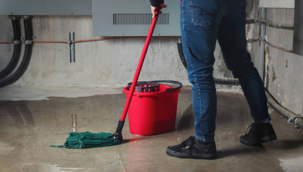 Best Water damage contractors near me  in Bloomingburg, OH