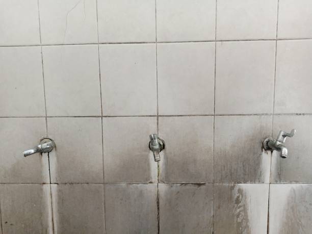 Best Water damage restoration insurance claims  in Bloomingburg, OH