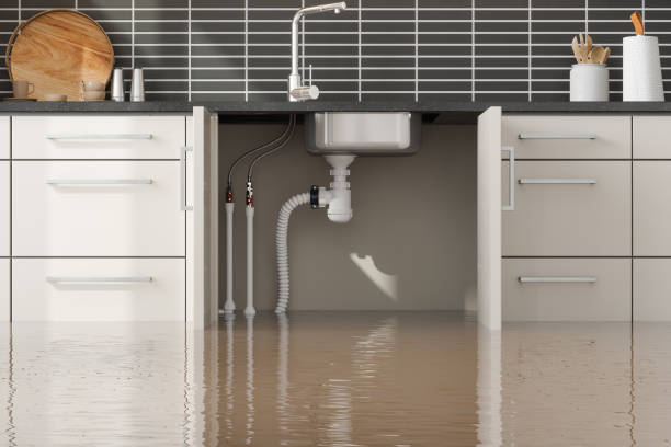 Best Sewage cleanup and water damage restoration  in Bloomingburg, OH